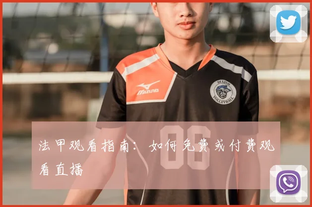 法甲观看指南：如何免费或付费观看直播