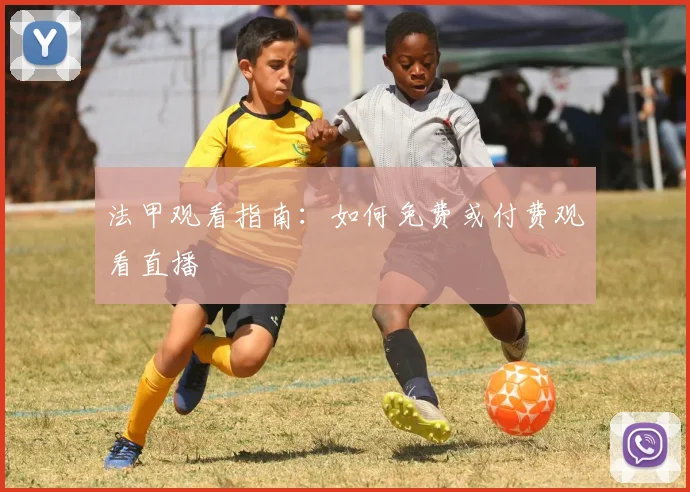 法甲观看指南：如何免费或付费观看直播